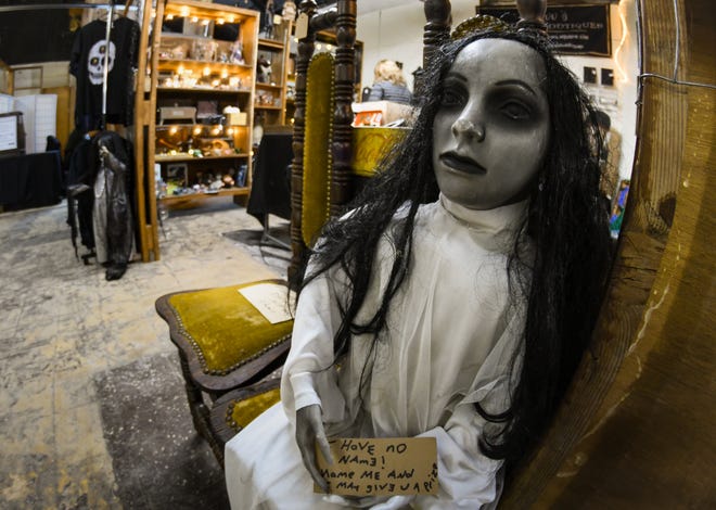 Real-life shop of horrors opens in REO Town Marketplace