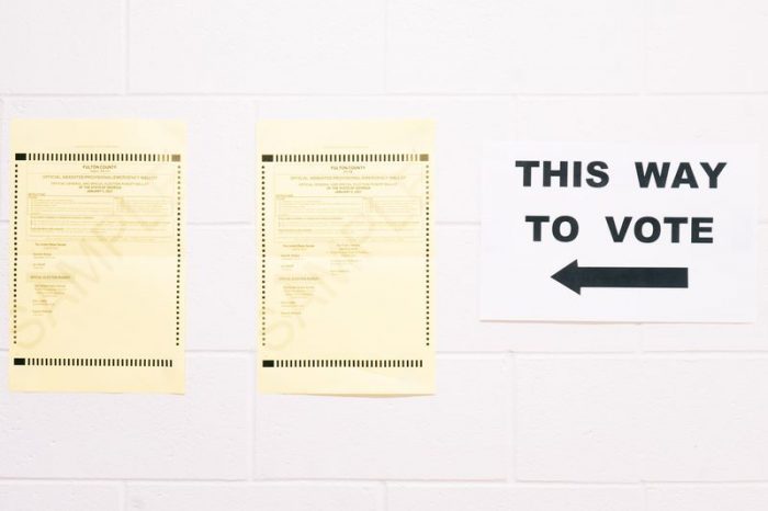 Here’s How Activists Are Challenging Voting Restrictions