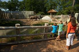 Potter Park Zoo, downtown Lansing among those getting millions in earmarks in state budget