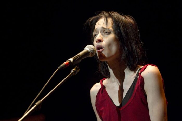 Fiona Apple Pushes Maryland Courts to Keep Cameras On